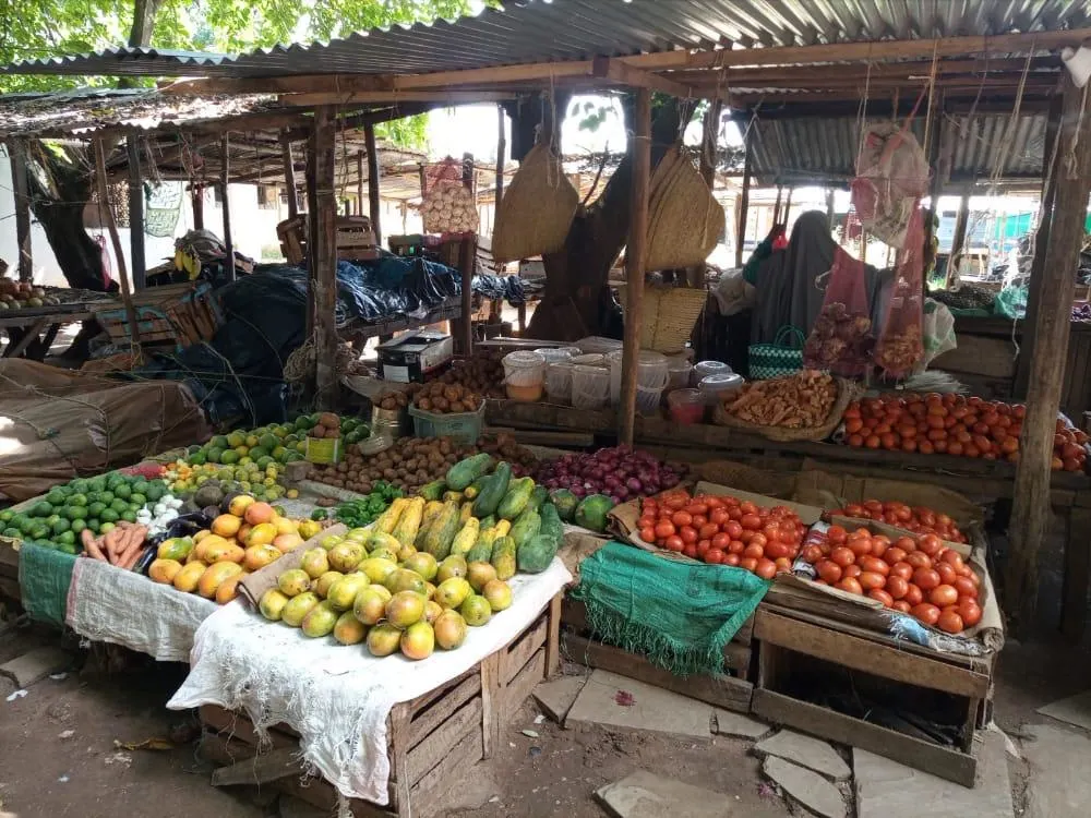 Fresh fruits and vegetables displayed at a local market near Diani Kenya