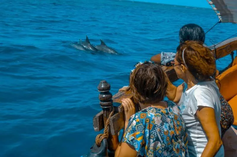 Dolphins swimming in the Indian Ocean near Kisite Marine Park
