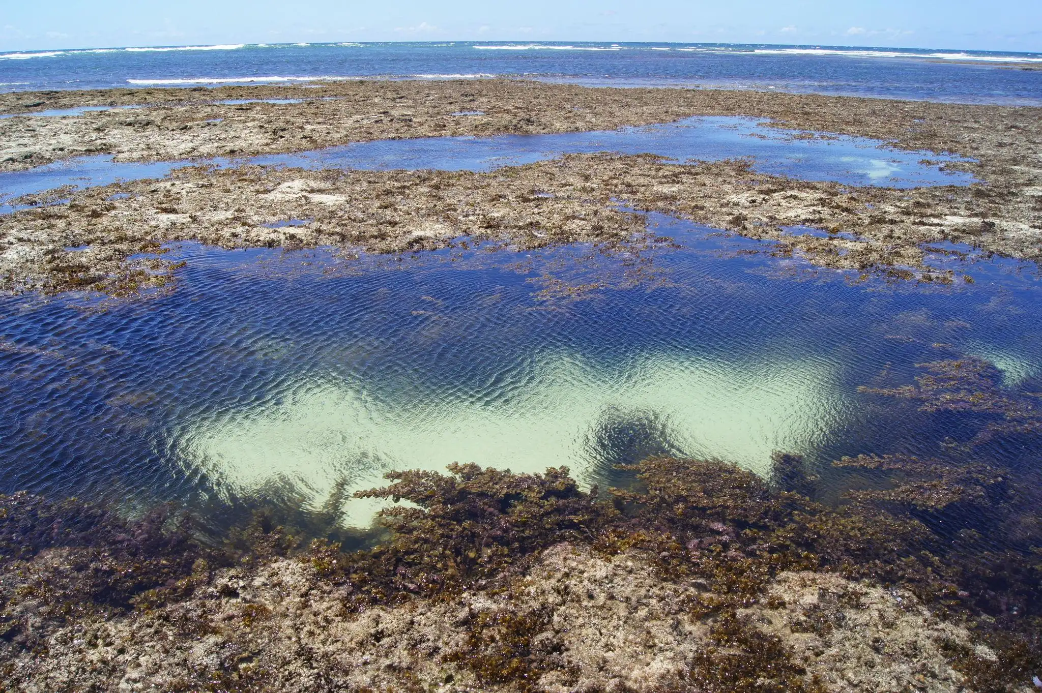 Exposed reef flats and sandbanks at Tiwi Beach during low tide on the Kenya coast