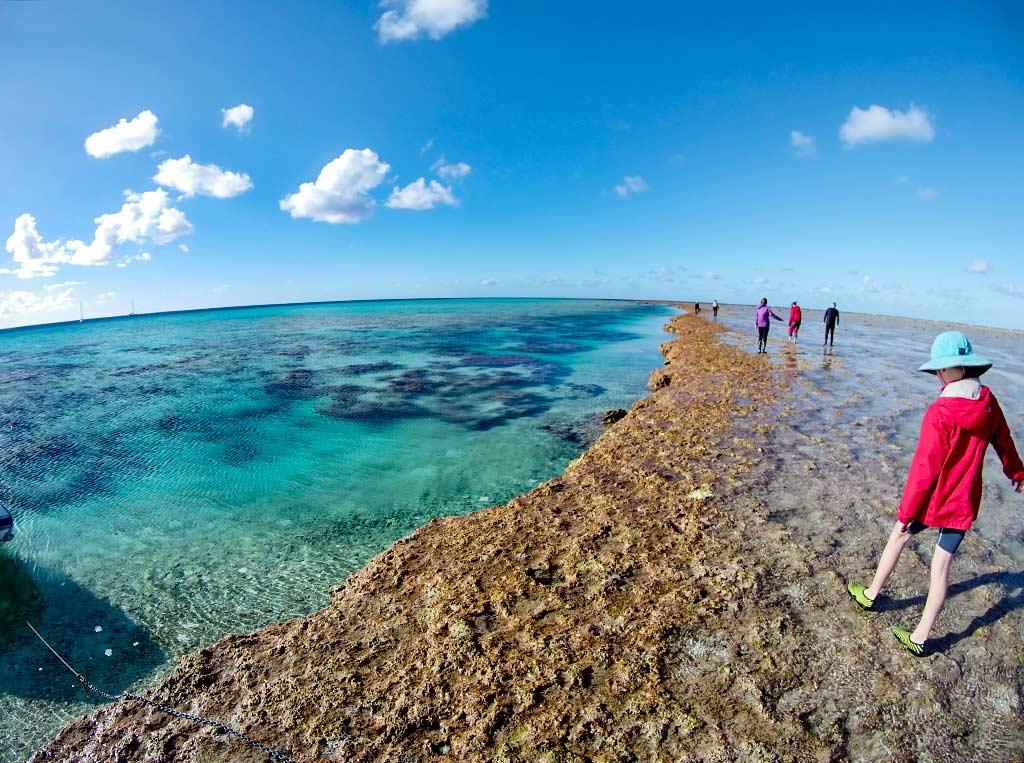 Tiwi Beach Starfish Reef Walk