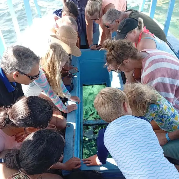 Guests viewing fish and marine life through the glass panels of a boat in Diani