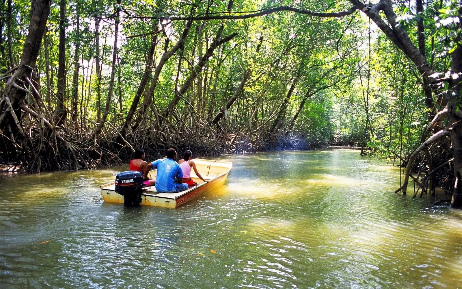 Motorised boat used for a guided wildlife safari from Diani to the Ramisi River and Funzi Island