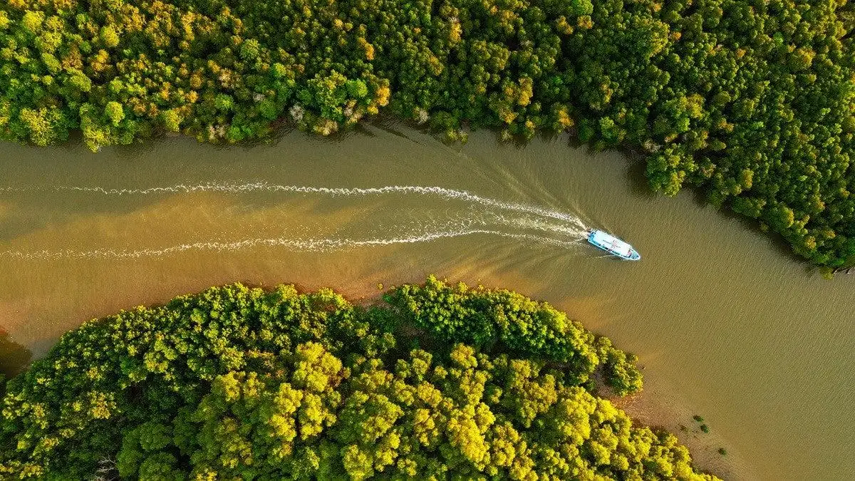 Boat safari travelling through the mangrove-lined Ramisi River near Funzi Island Kenya