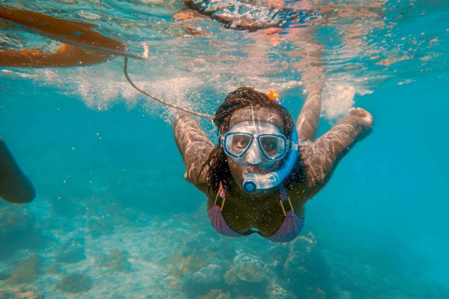 Snorkeling comparison between Kisite Marine Park and the nearshore Diani reef