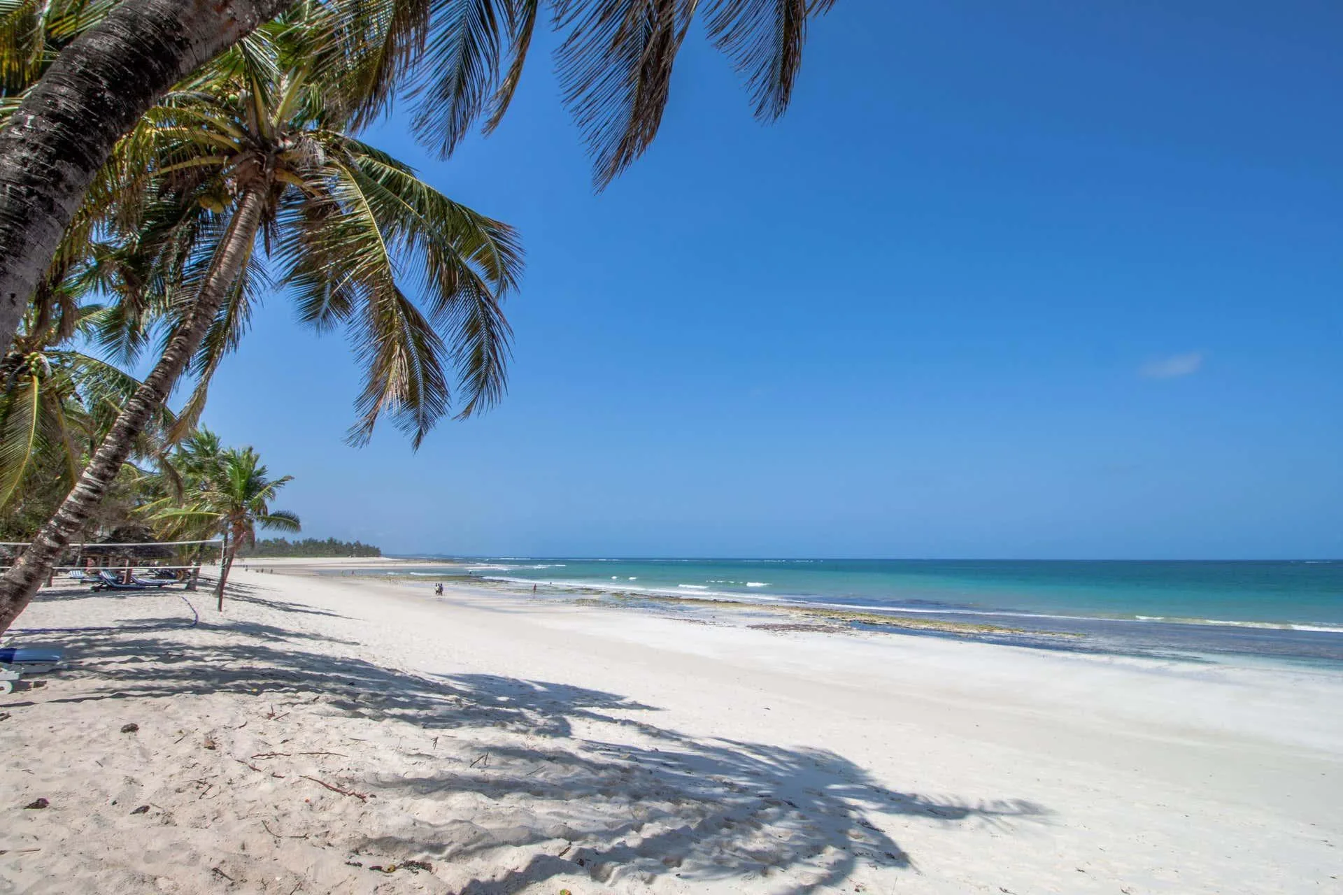 Best Time to Visit Diani with a Month by Month Weather Guide